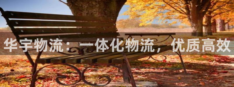 28圈加拿大最新版