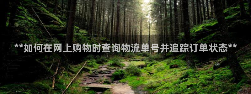 28圈怎么下载教程