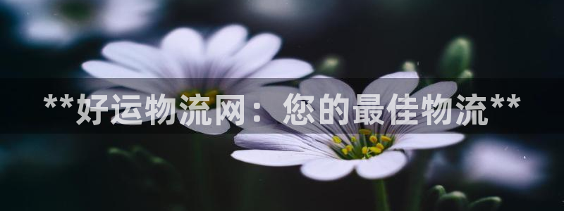 28圈和南宫28什么关系