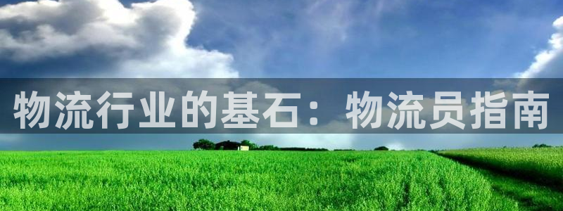28圈注册网页版：物流行业的基石：物