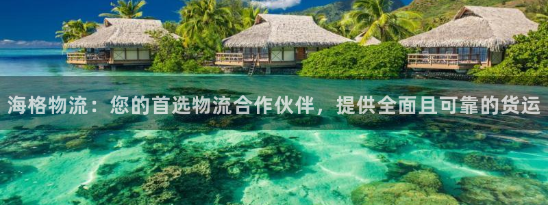 28圈注册官网：海格物流：您的首选物