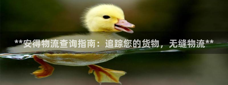 28圈模拟器在线使用