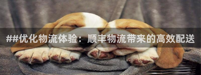 28圈官网多少