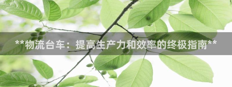 28圈怎么下载