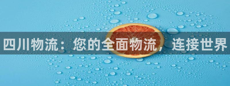 28圈二维码