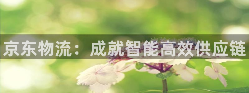 28圈能提现吗