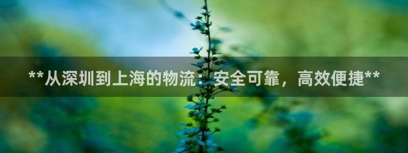 28圈为什么打不开