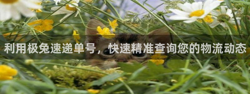 28圈分分压单双技巧