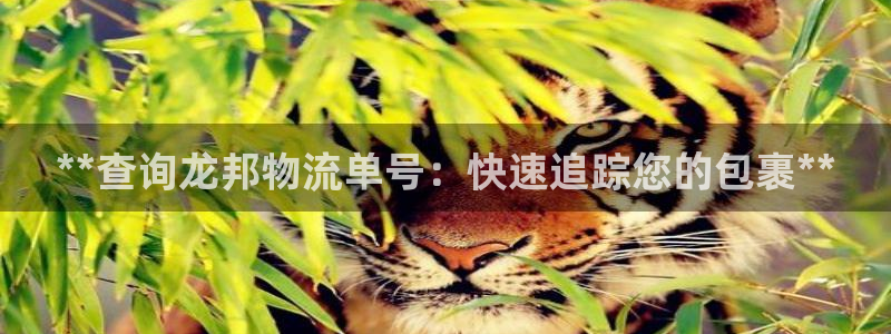 28圈注册账号：**查询龙邦物流单号