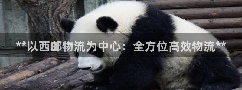 28圈提现不到账