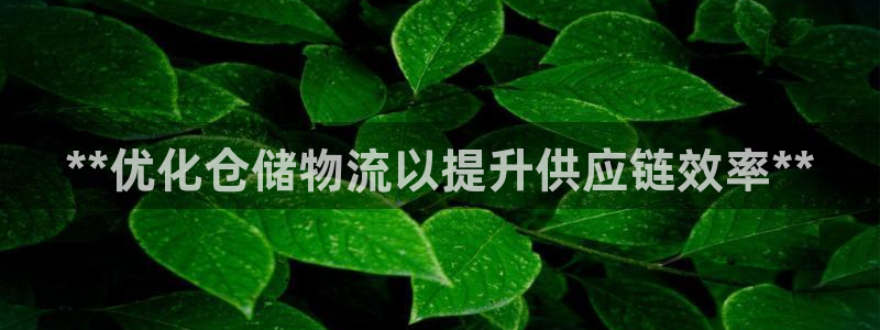 28圈游戏最新版