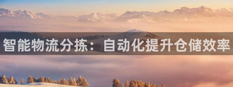 28圈注册登录链接：智能物流分拣：自