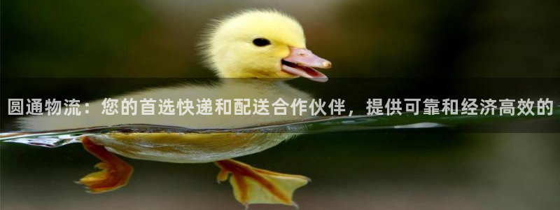 28圈登录：圆通物流：您的首选快递和