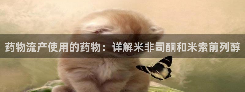 28圈口