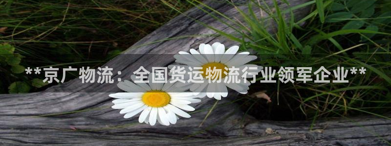 28圈推广链接是多少粉丝