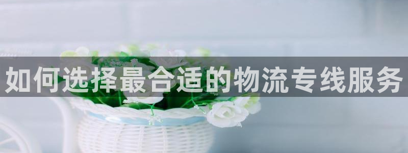 28圈官网平台