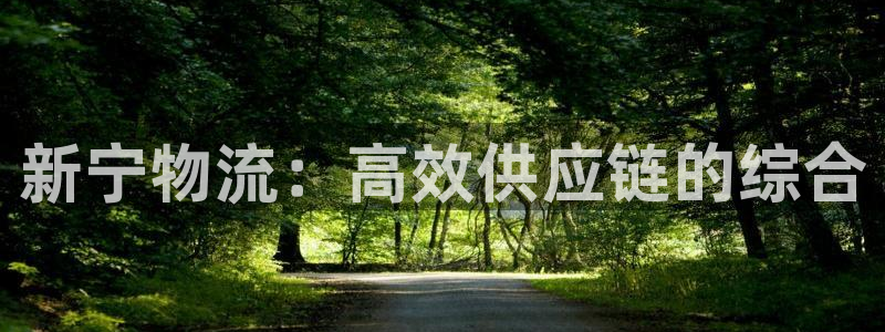 28圈注册网站多少：新宁物流：高效供