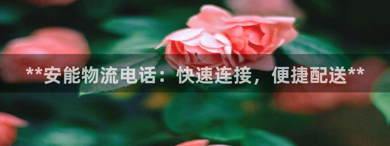 28圈退款：**安能物流电话：快速连