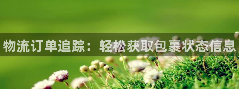 28圈是南宫旗下的吗：物流订单追踪：