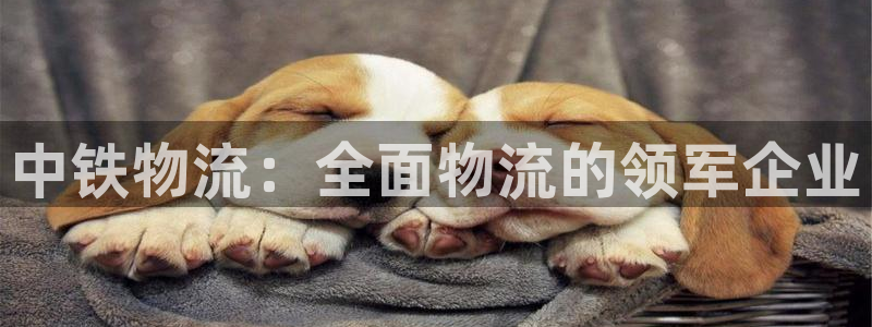 28圈自行车搞笑图片：中铁物流：全面