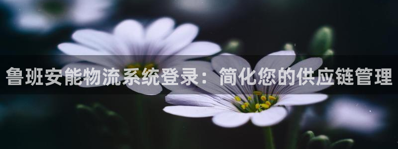 28圈可靠吗：鲁班安能物流系统登录：