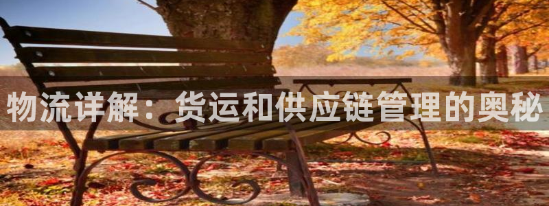 28圈充值：物流详解：货运和供应链管