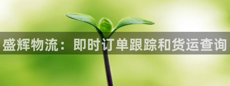 28圈是正规平台吗：盛辉物流：即时订