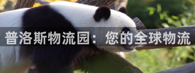28圈提现未达5期是什么意思：普洛斯