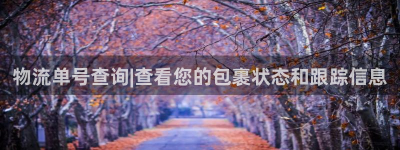 28圈怎么下载