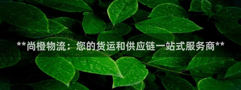 28圈的平台