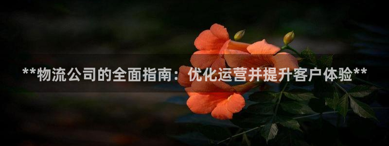 28圈入口问一问