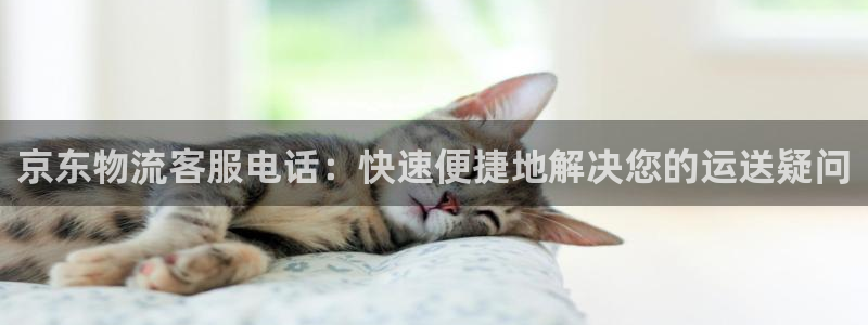 28圈连输10天
