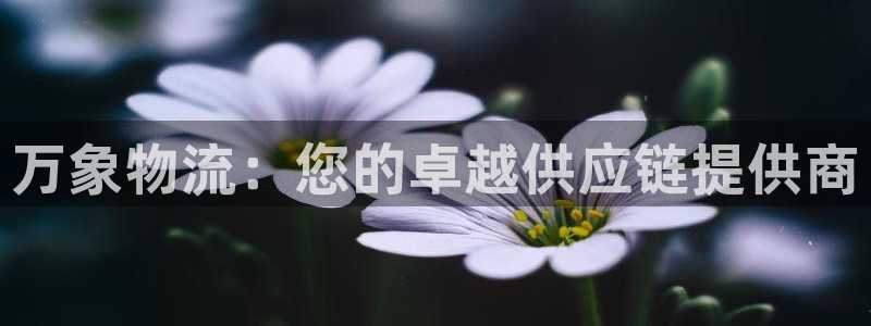 28圈链接：万象物流：您的卓越供应链
