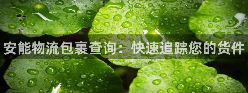 28圈登录流程：安能物流包裹查询：快