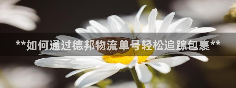 28圈.ccmpc是诈骗吗?