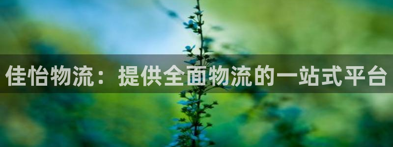 28圈官方官网版：佳怡物流：提供全面
