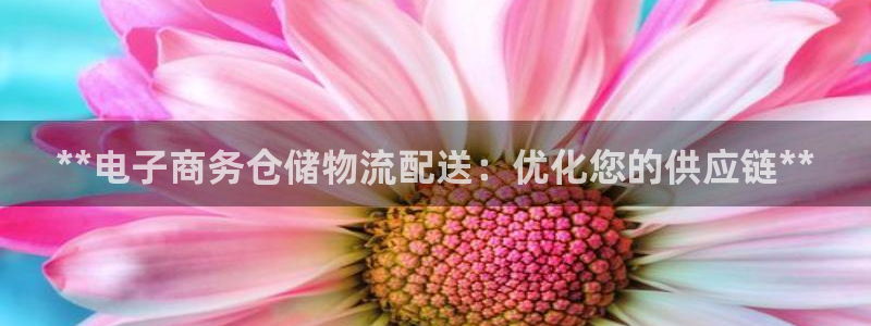 28圈退款教程：**电子商务仓储物流
