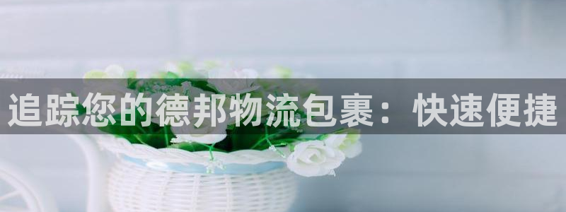 28圈注册上限是啥意思：追踪您的德邦