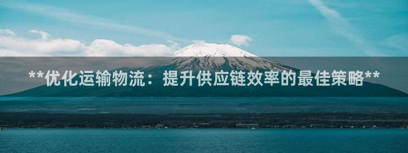 28圈注册网址：**优化运输物流：提