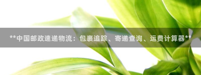 28圈登录不上咋回事：**中国邮政速