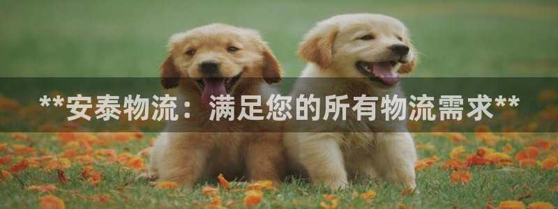 28圈注册上限是啥意思：**安泰物流