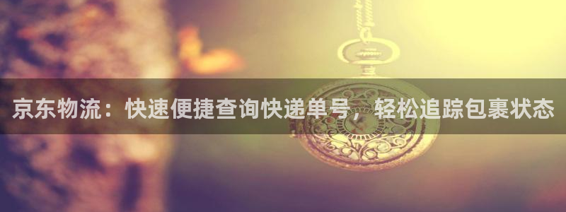 28圈网站平台是多少：京东物流：快速