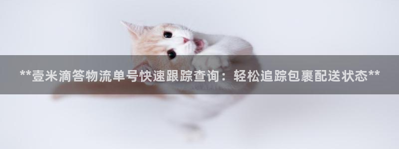 28圈注册步骤：**壹米滴答物流单号