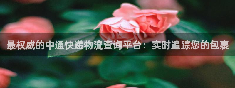 28圈登录不上咋回事：最权威的中通快