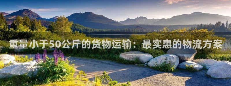 28圈代理落网：重量小于50公斤的货