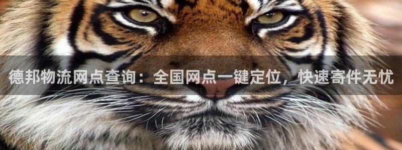 28圈注册链接入口：德邦物流网点查询