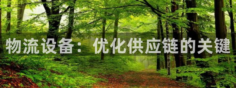 28圈能提现吗：物流设备：优化供应链