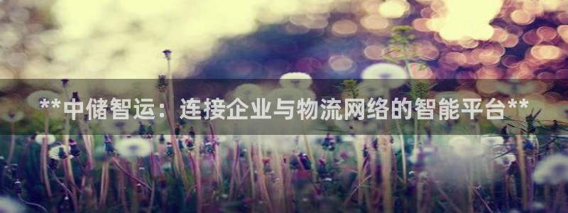 28圈返水怎么算的：**中储智运：连