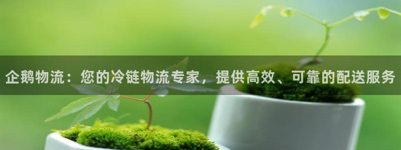 28圈模拟器下载
