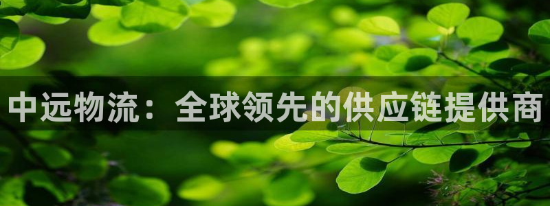 28圈加拿大28
